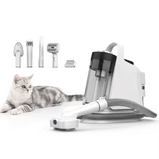 What Is the Best Vacuum for Pet Hair? - DaJue Household Electric Appliances